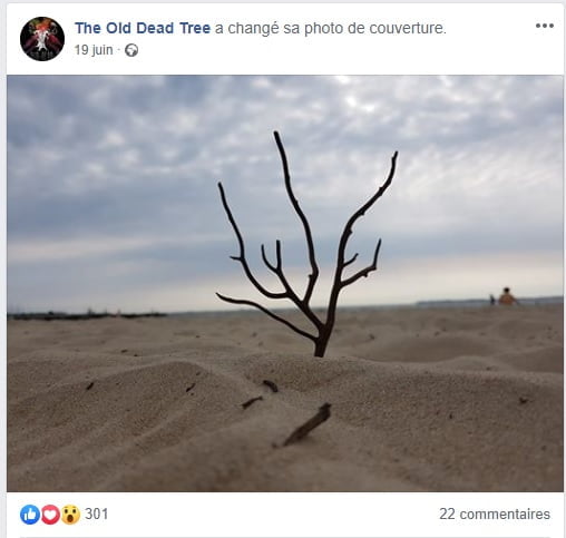image article The Old Dead Tree : Le retour ?