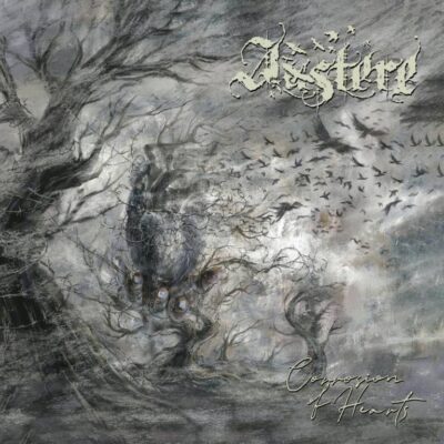 image article Un nouveau single pour AUSTERE ( Black Metal / Australie ) avec "Sullen" !