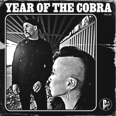 image article Du nouveau pour YEAR OF THE COBRA avec "War Drop" !